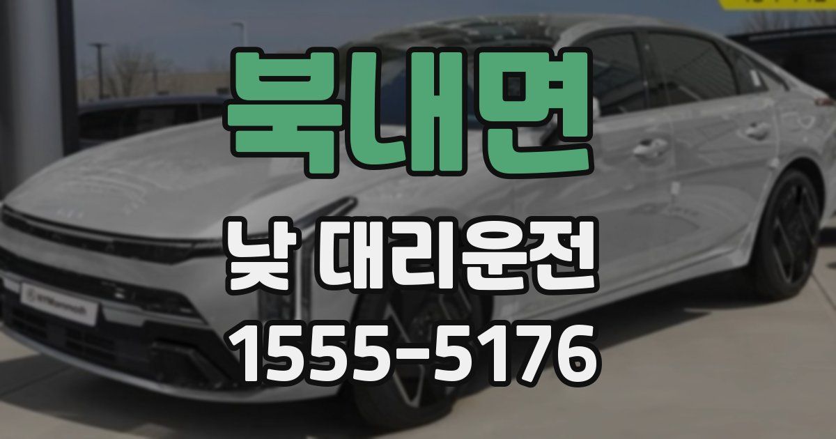 북내면 낮 대리운전