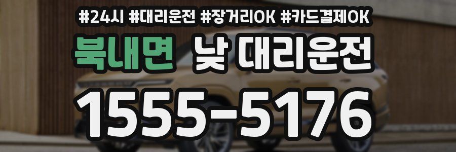 북내면 낮 대리운전