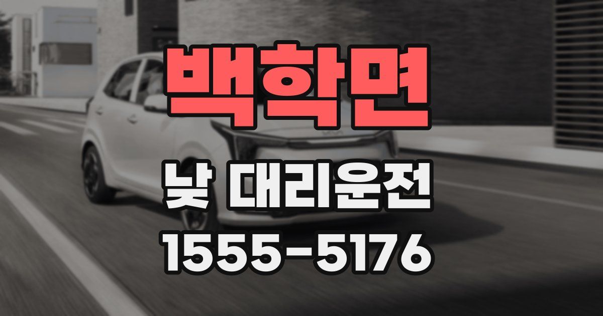 백학면 낮 대리운전