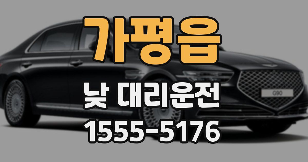 가평읍 낮 대리운전