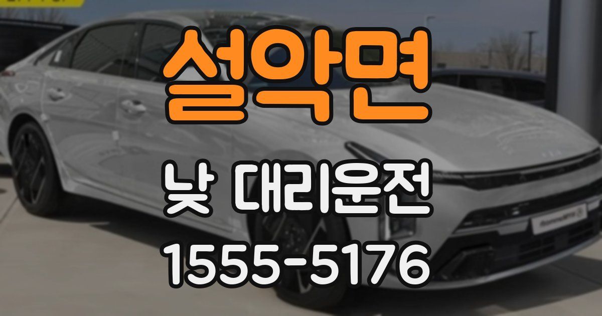 설악면 낮 대리운전