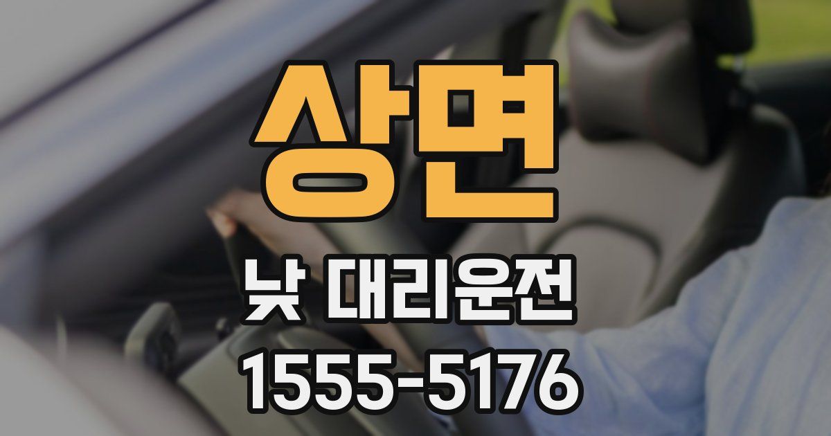 상면 낮 대리운전
