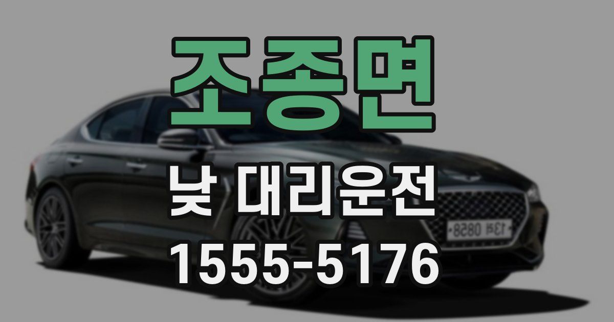 조종면 낮 대리운전