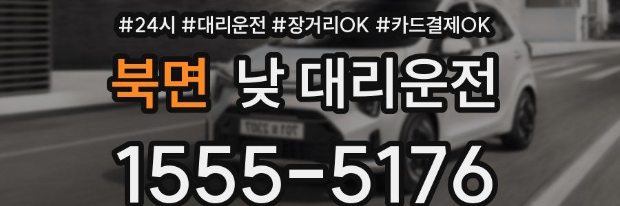 북면 낮 대리운전