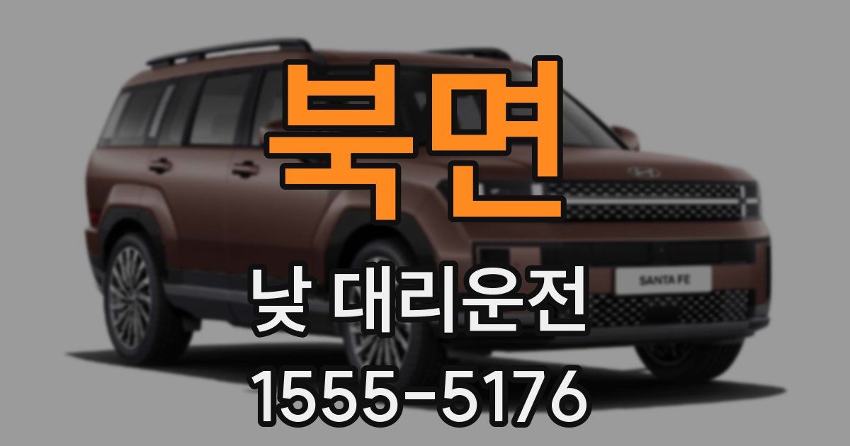 북면 낮 대리운전
