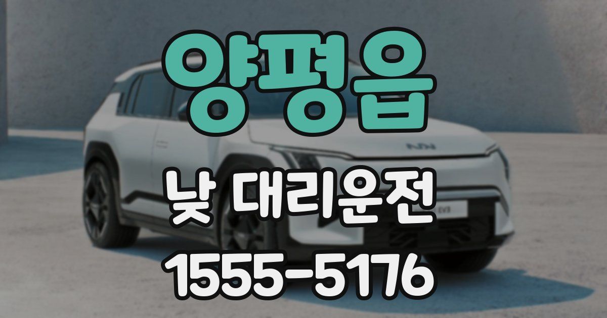 양평읍 낮 대리운전