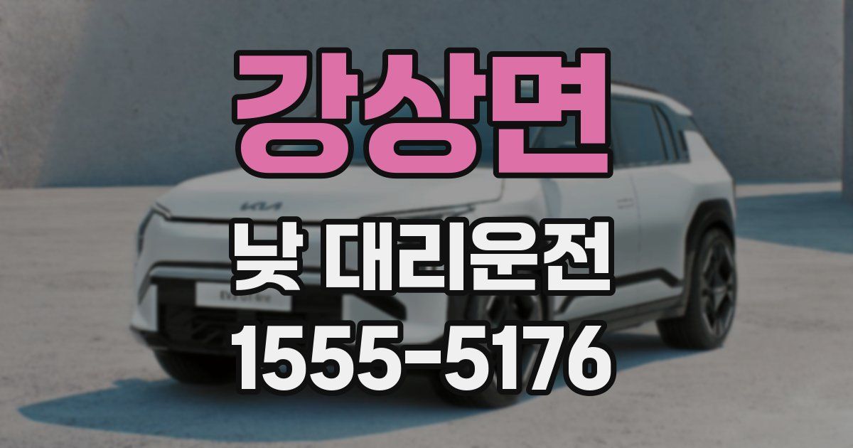 강상면 낮 대리운전