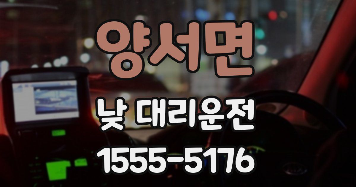 양서면 낮 대리운전