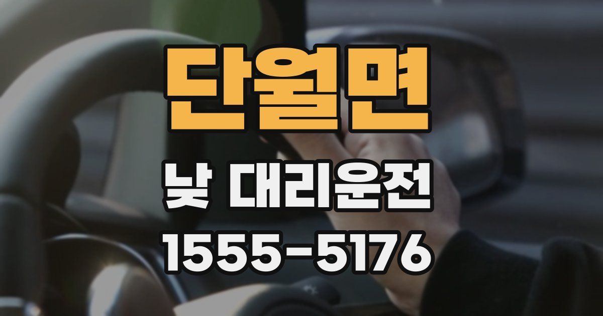 단월면 낮 대리운전