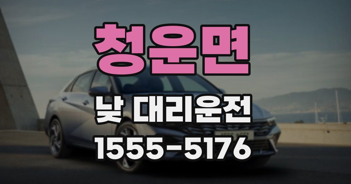 청운면 낮 대리운전