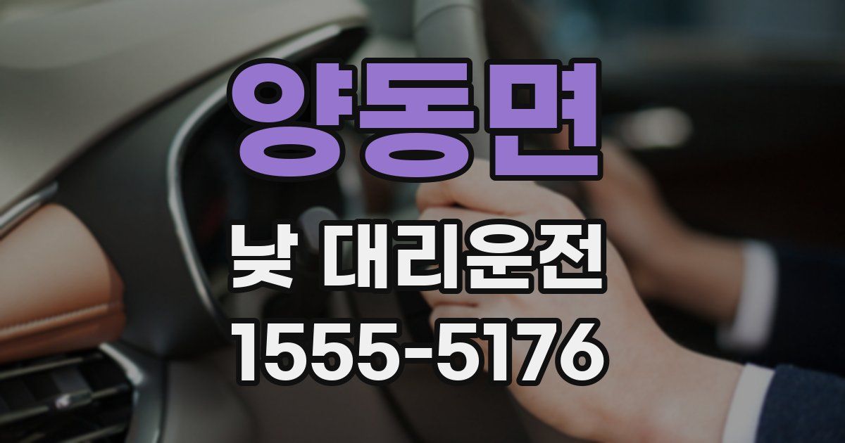양동면 낮 대리운전