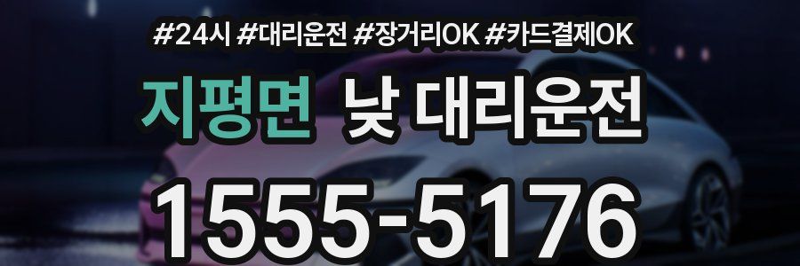 지평면 낮 대리운전