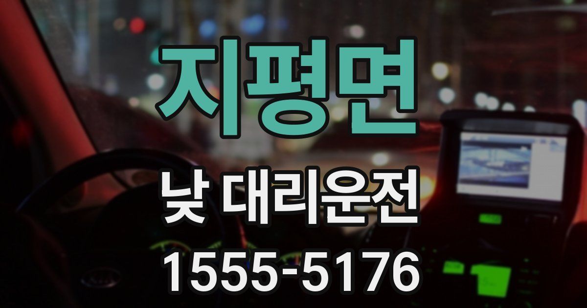 지평면 낮 대리운전