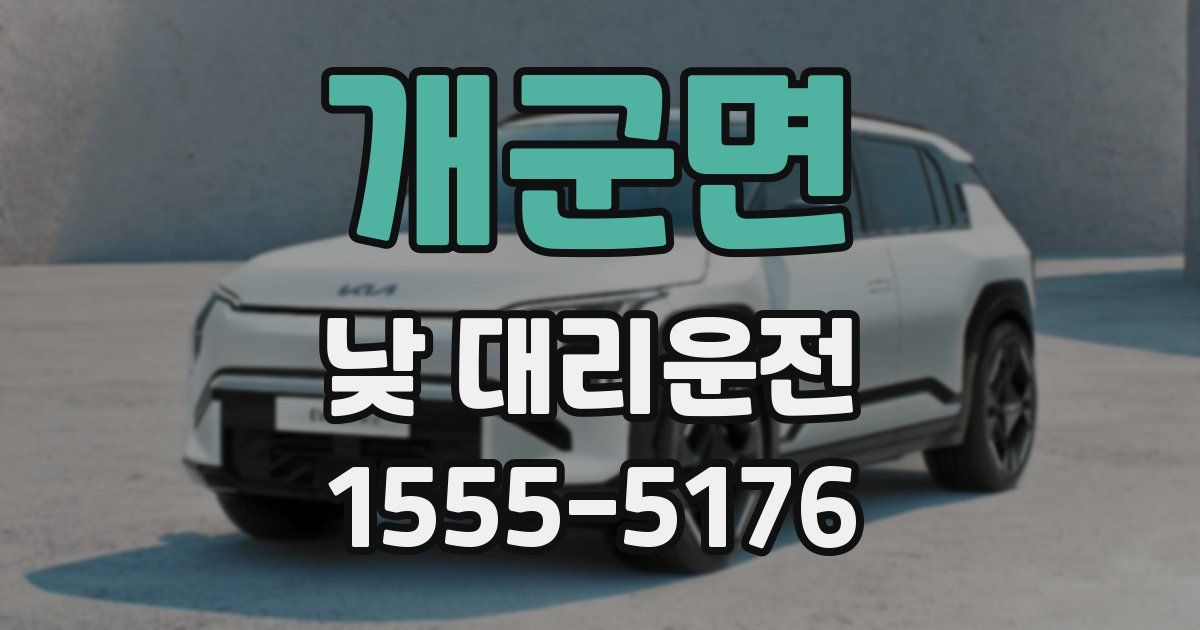 개군면 낮 대리운전