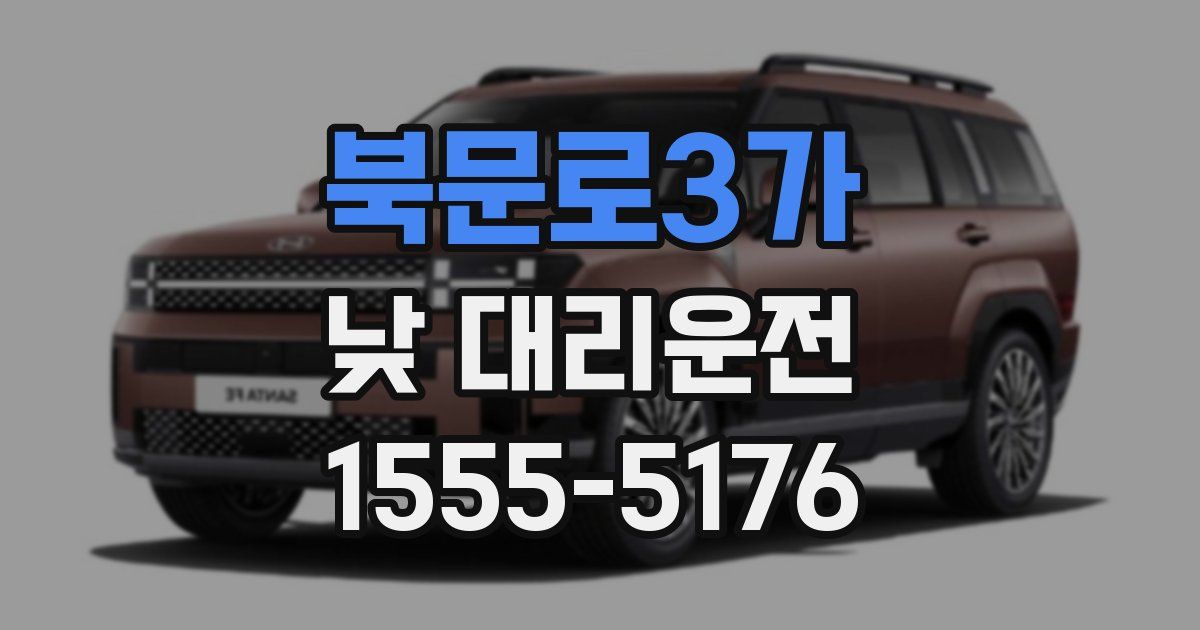 북문로3가 낮 대리운전