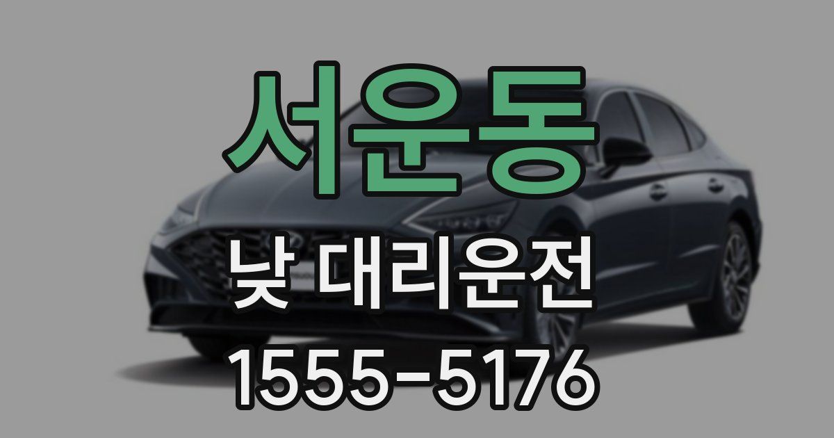 서운동 낮 대리운전