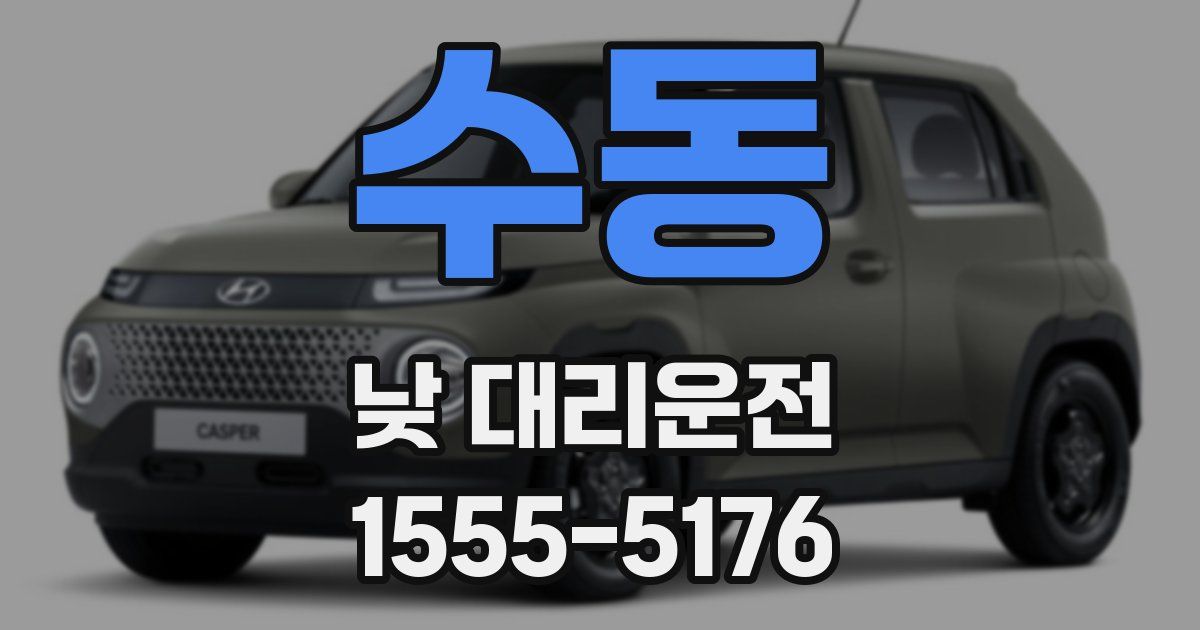수동 낮 대리운전