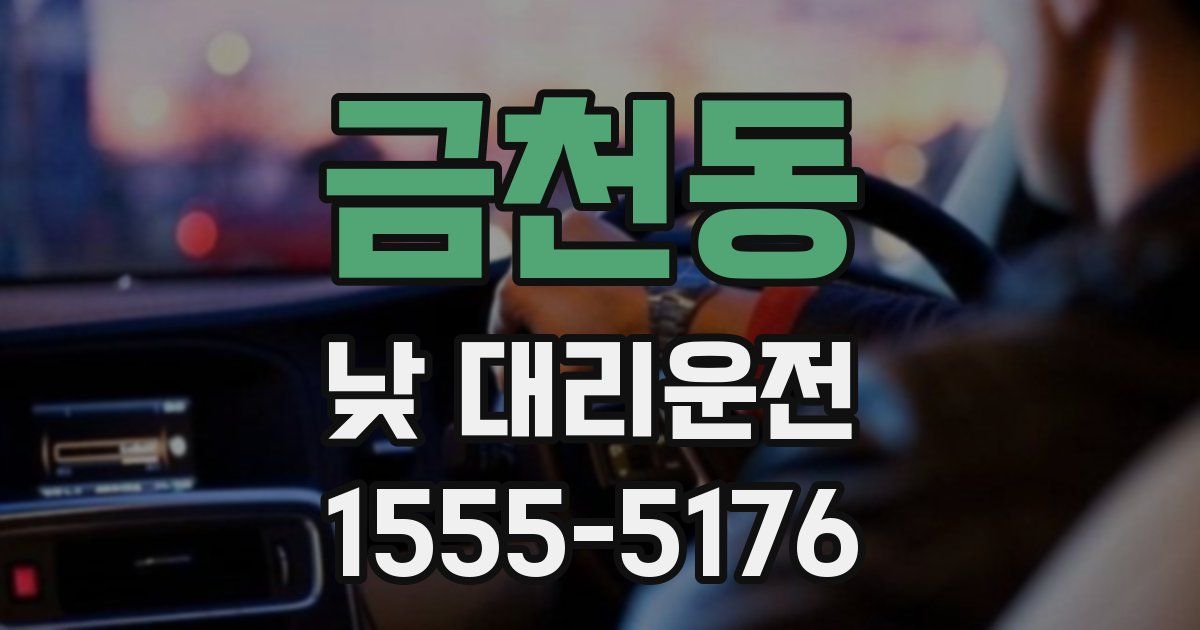 금천동 낮 대리운전