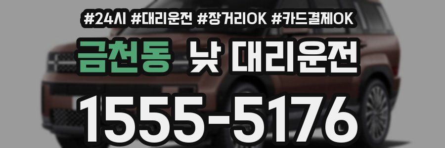 금천동 낮 대리운전