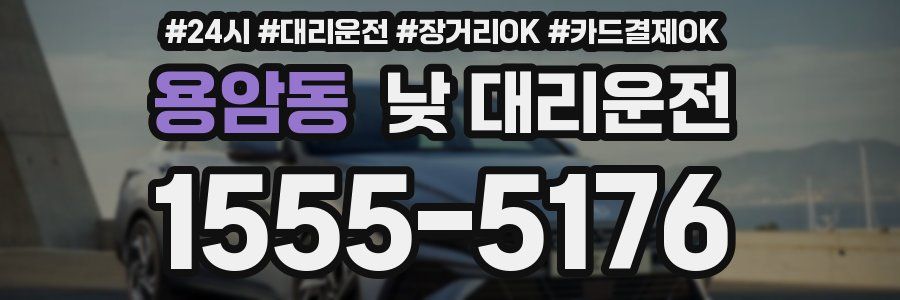 용암동 낮 대리운전