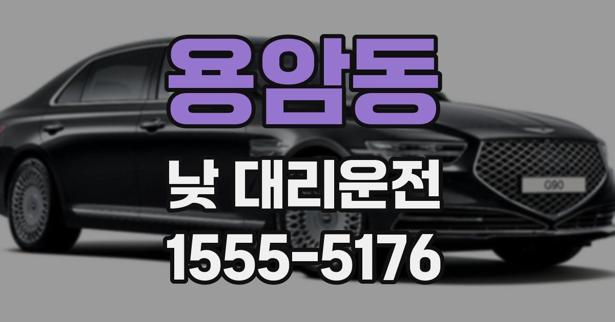 용암동 낮 대리운전