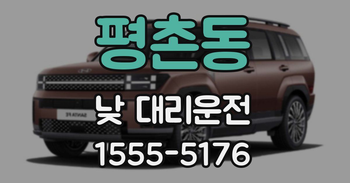 평촌동 낮 대리운전