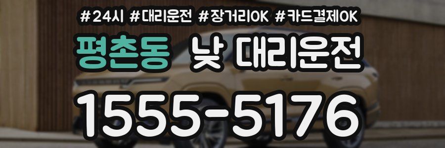 평촌동 낮 대리운전
