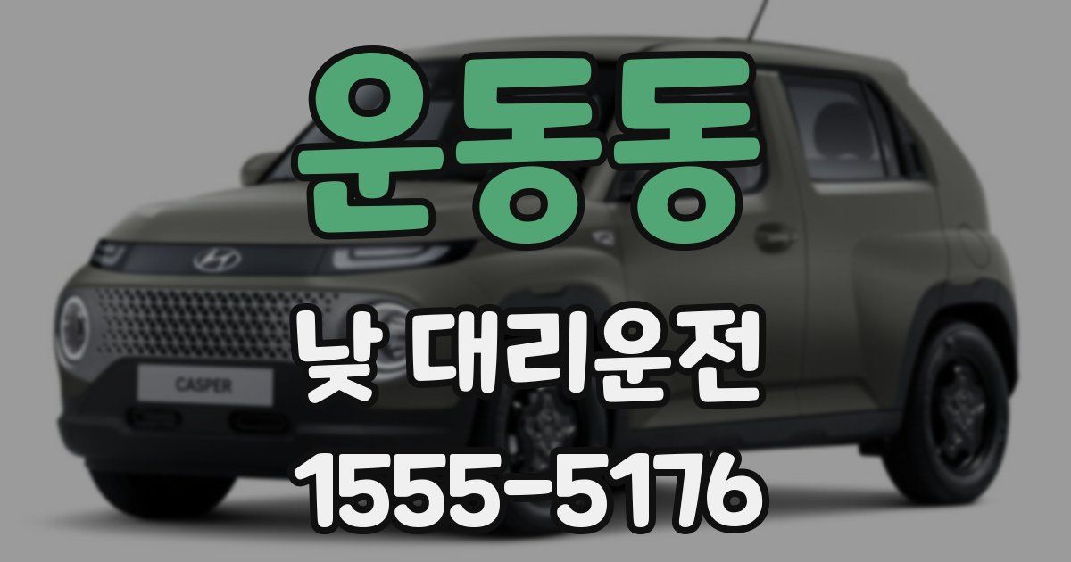 운동동 낮 대리운전