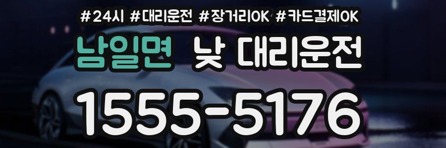 남일면 낮 대리운전