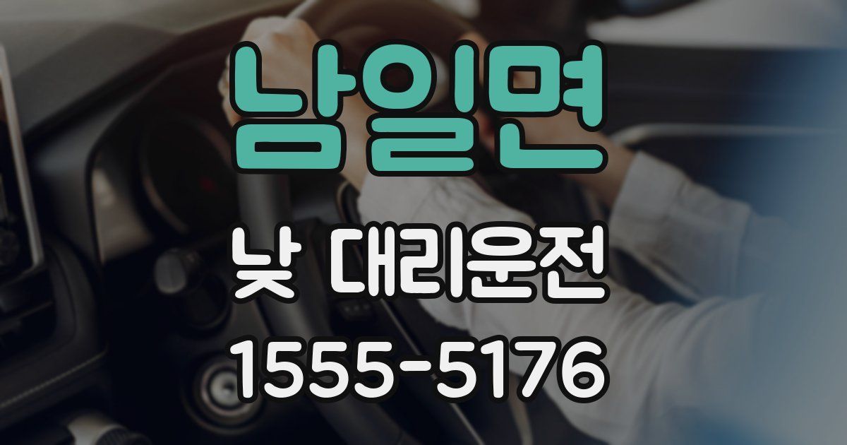 남일면 낮 대리운전