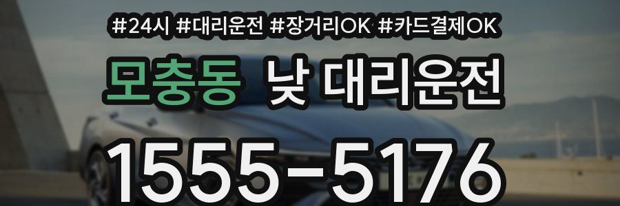 모충동 낮 대리운전