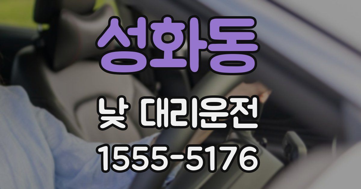 성화동 낮 대리운전