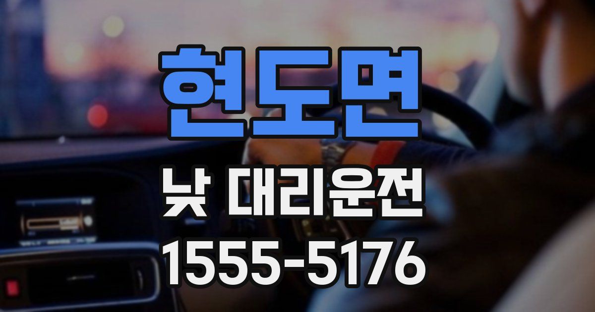현도면 낮 대리운전