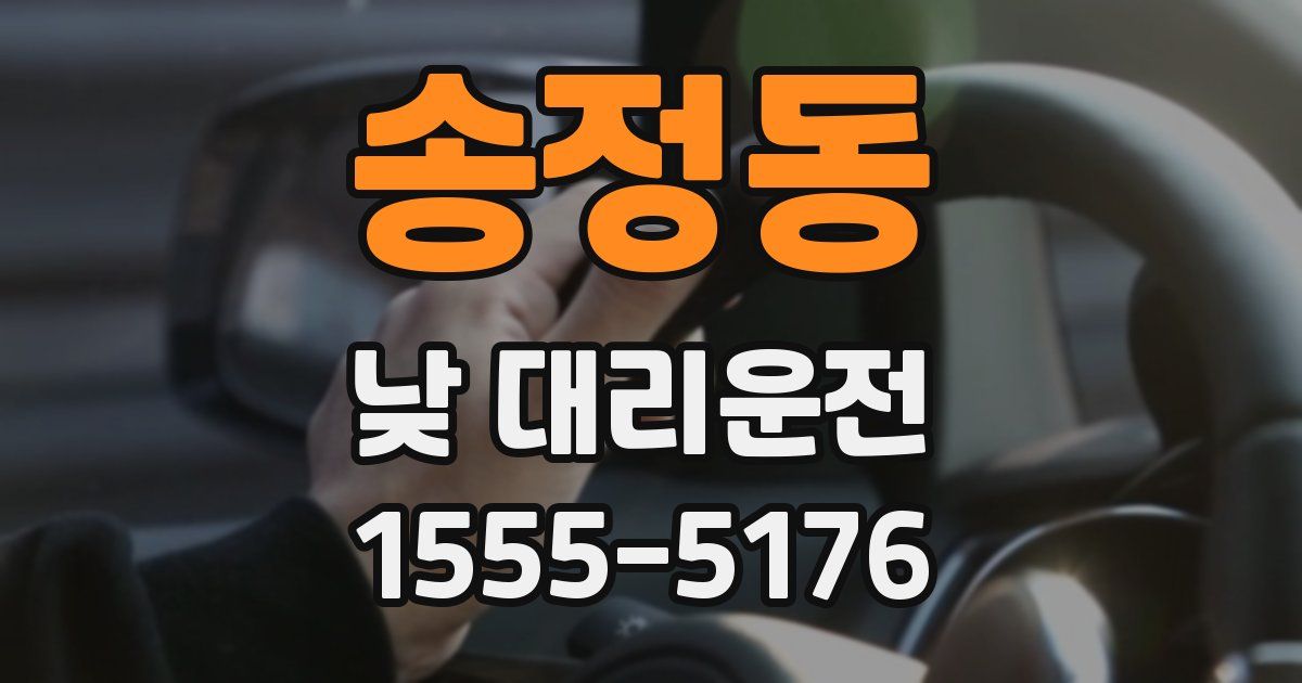 송정동 낮 대리운전