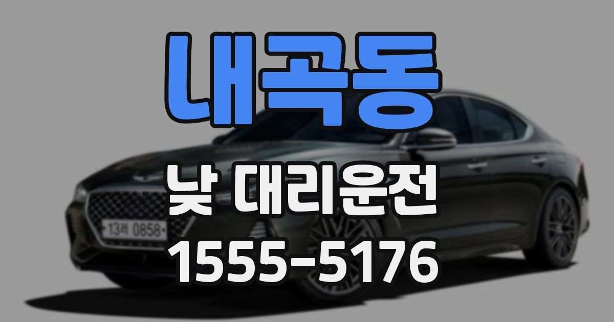 내곡동 낮 대리운전