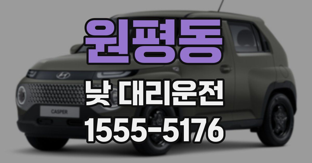 원평동 낮 대리운전