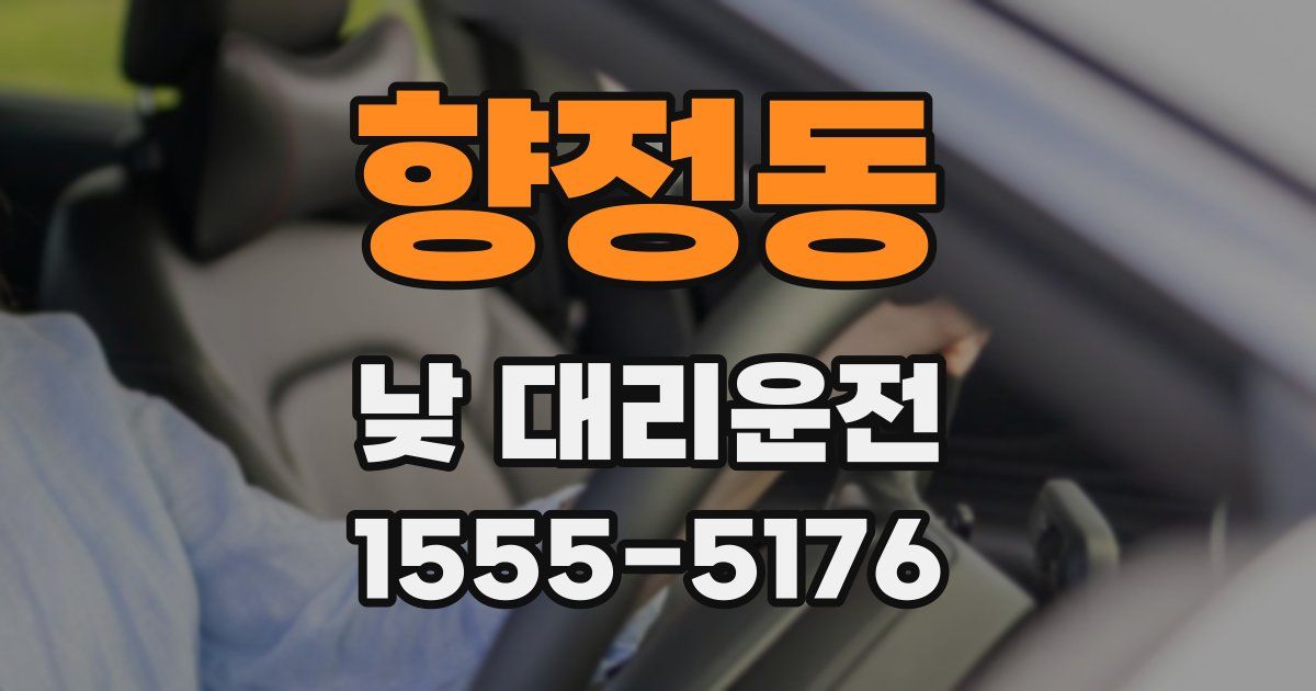 향정동 낮 대리운전