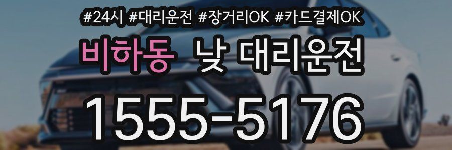 비하동 낮 대리운전