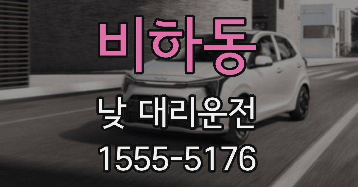 비하동 낮 대리운전