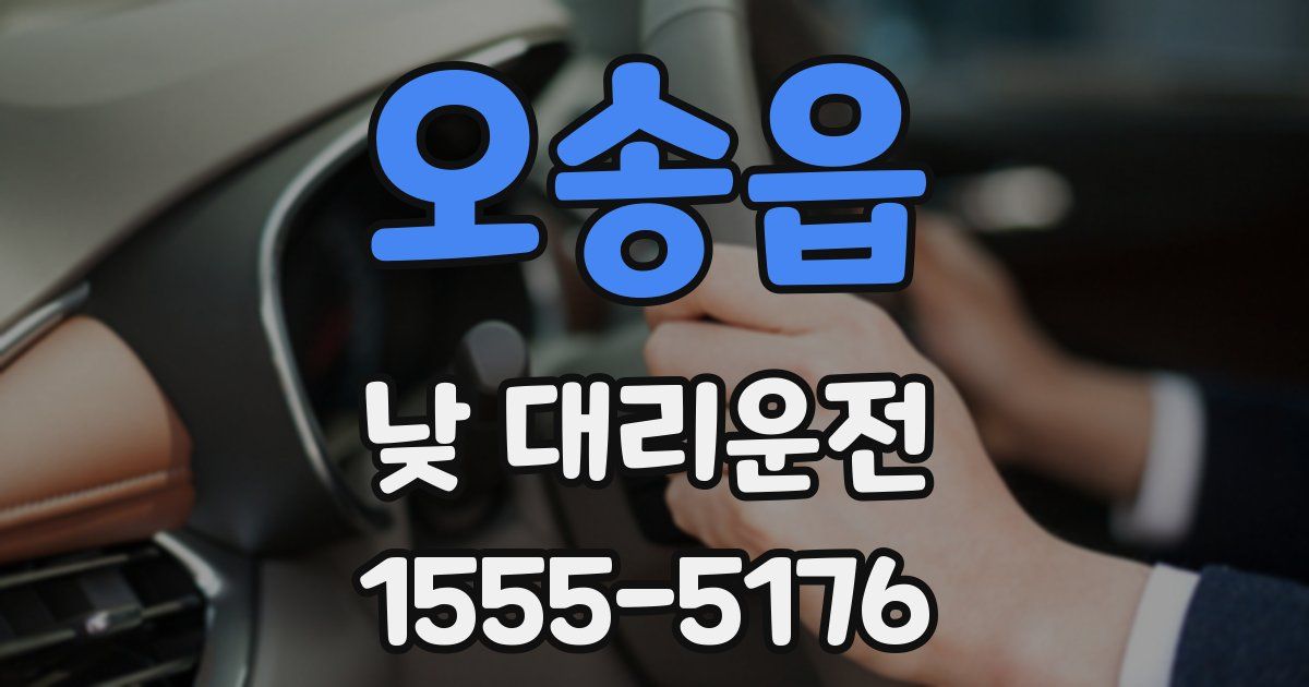 오송읍 낮 대리운전