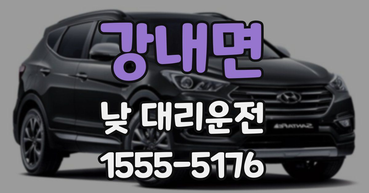강내면 낮 대리운전