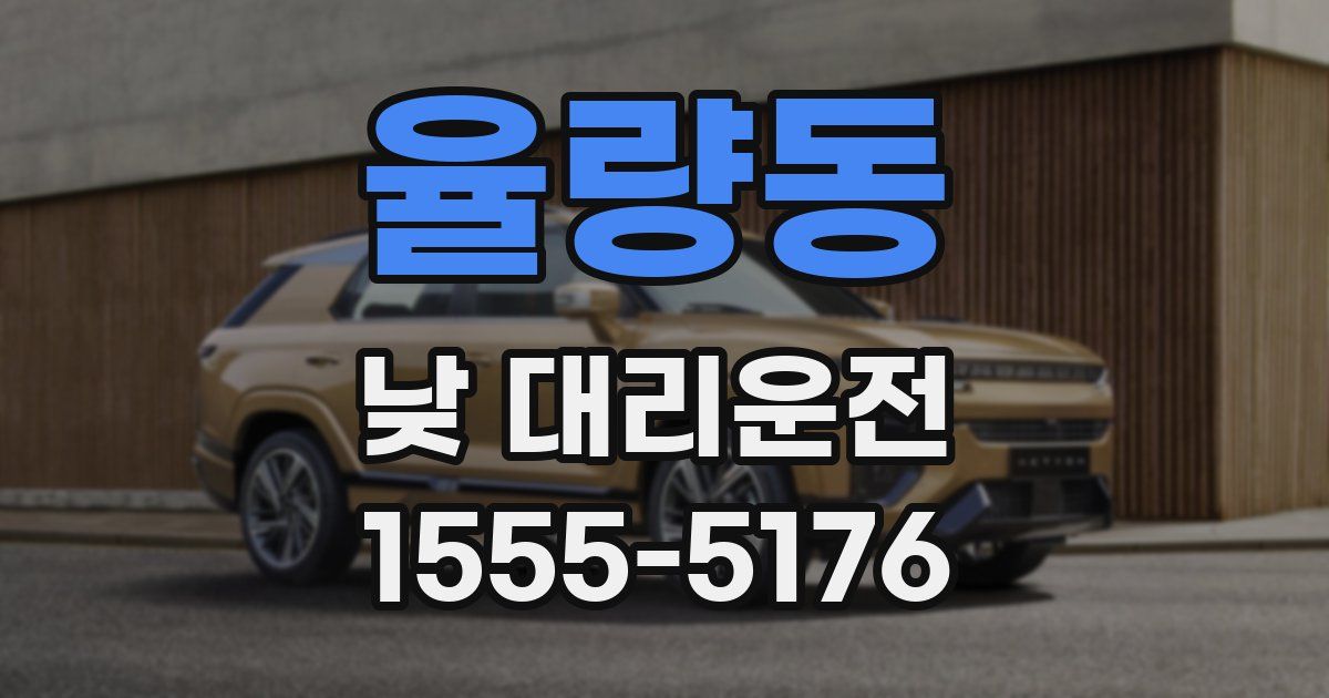 율량동 낮 대리운전