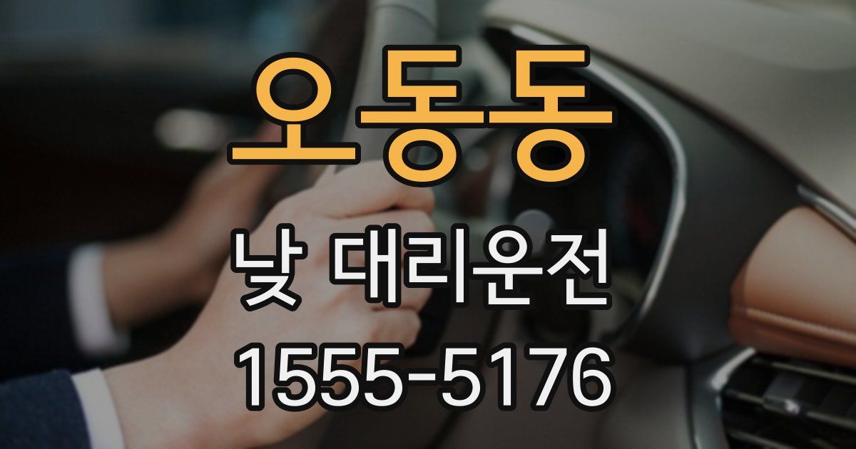 오동동 낮 대리운전