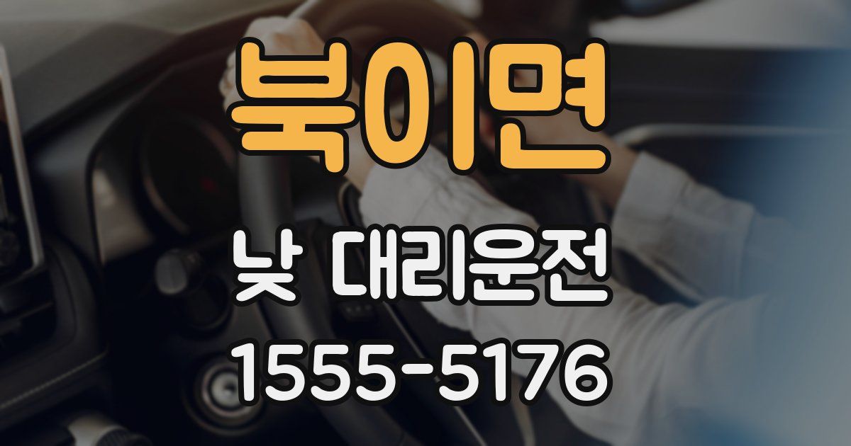북이면 낮 대리운전