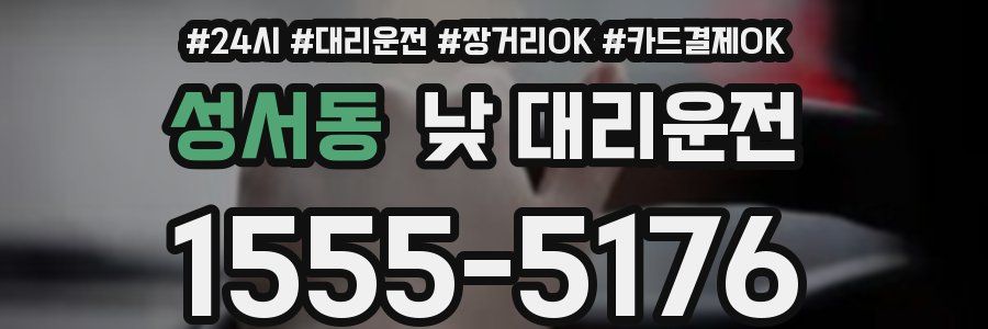 성서동 낮 대리운전