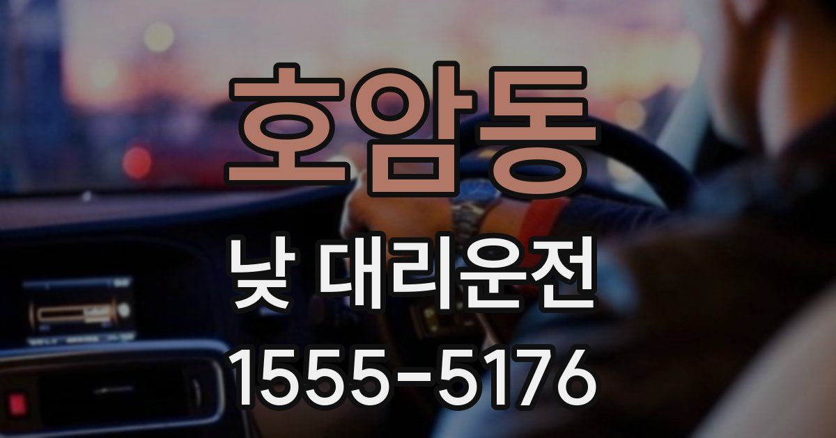 호암동 낮 대리운전
