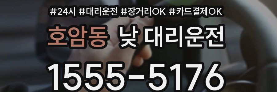 호암동 낮 대리운전