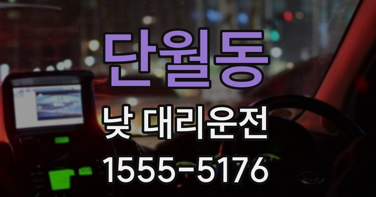 단월동 낮 대리운전