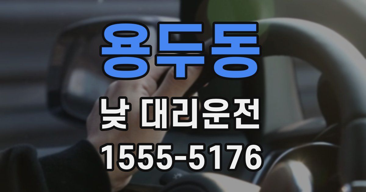 용두동 낮 대리운전