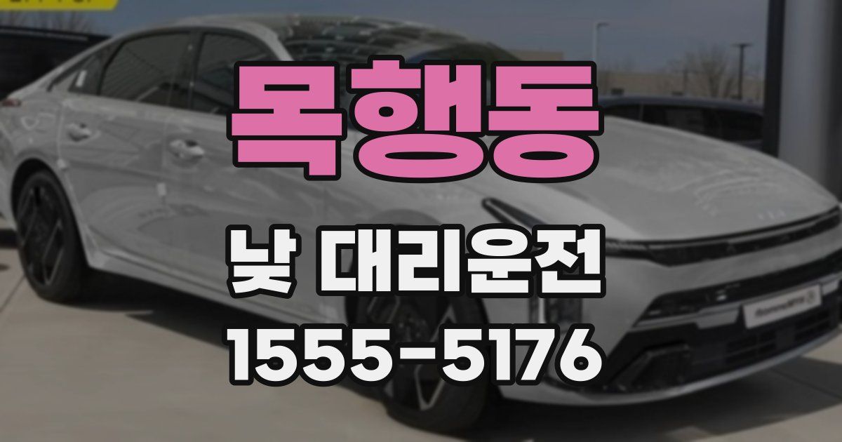 목행동 낮 대리운전